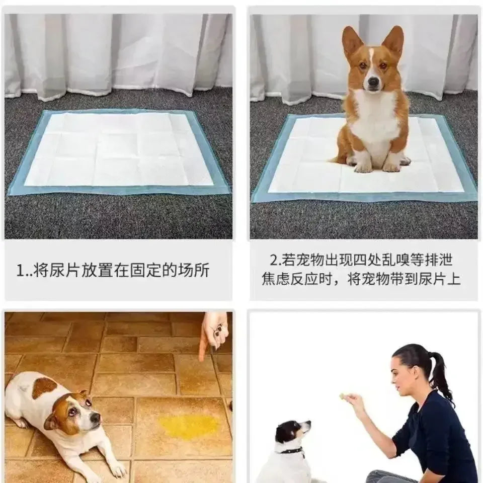 100/50/40/20PCS Absorbent Dogs Diapers Disposable Puppy Training Pee Pads Quick Dry Surface Mat Clean Cushion Dog Supplies - Confia - reusablefoodstoragebags confia