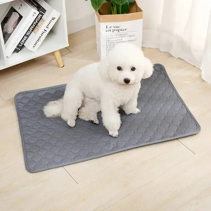 Dog Pee Pad Reusable Absorbent Washable Puppy Training Pad Pet Bed Urine Mat for Pet Car Seat Cover Pet Supplies - Confia - reusablefoodstoragebags confia
