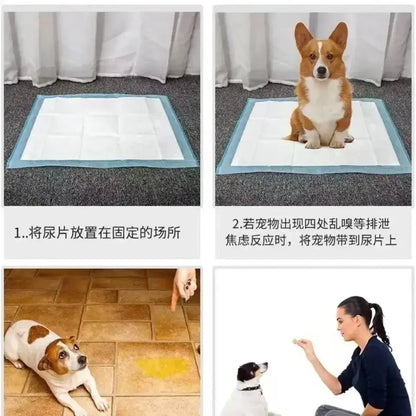 100/50/40/20PCS Absorbent Dogs Diapers Disposable Puppy Training Pee Pads Quick Dry Surface Mat Clean Cushion Dog Supplies - Confia - reusablefoodstoragebags confia