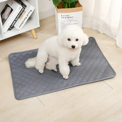 Dog Pee Pad Reusable Absorbent Washable Puppy Training Pad Pet Bed Urine Mat for Pet Car Seat Cover Pet Supplies - Confia - reusablefoodstoragebags confia